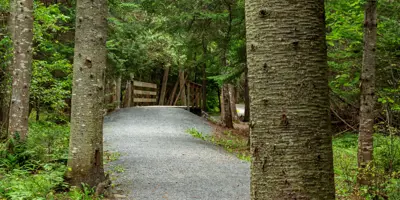 Gravel trail with walking bridge in the forest.