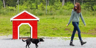 Small dog following female with dog house in background.