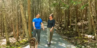 Two people enjoying walk with large dog.
